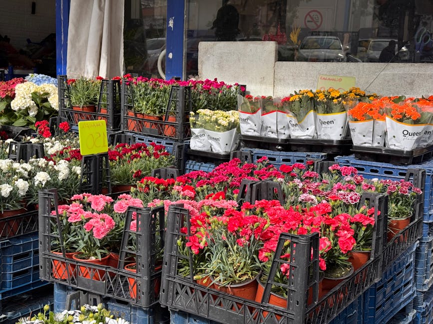 An outdoor market display of vibrant potted flowers, including pink, red, white, yellow, and orange blooms, arranged in black plastic crates with some wrapped in decorative paper. The flowers, such as