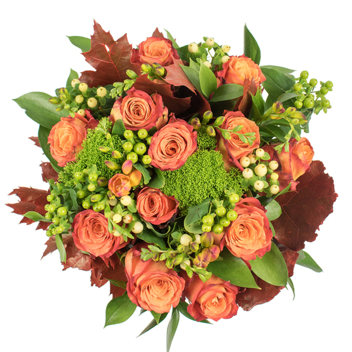 This circular, top-down arrangement sits against a stark white backdrop like a small, autumn meadow captured at noon, a style I enjoy assembling for clients who visit the market near Slough High Street. Dominating the scene are many fully opened roses in an array of soft peach, coral and rich orange shades; each bloom graduates from a pale, warm centre to outer petals edged with a subtle reddish-rust, creating a living ombré that recalls late-season leaves. Interspersed among the roses are tight clusters of Hypericum berries-some strikingly lime-green, others a soft creamy-yellow-whose glossy, button-like forms bring a lively, jewel-like counterpoint. The arrangement's surprising tactile focus is provided by the Green Trick dianthus or similar textured filler, appearing as little fluffy green mounds that invite you to reach out and touch. Scattered throughout are substantial lobed leaves in deep burgundy and russet tones, their dry, autumnal appearance grounding the brightness and hinting at woodland paths around Herschel Park. Supporting foliage in fresh greens with broader, shinier surfaces creates volume and a lush backdrop, making the bouquet read as both abundant and carefully composed. Under gentle, diffuse light the interplay of velvet petals, satiny leaves and matte textured florets becomes evident, producing subtle shadow and highlight that enhance depth. Perfect for Thanksgiving, a seasonal birthday, or as a thoughtful housewarming in Wexham or nearby Farnham Royal, this bouquet carries the warmth and gratitude of the season with refined, local floral craftsmanship.