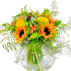 There's a magnetic cheerfulness to this bouquet, designed for the heart of Slough, that draws one in with every glance. Towering sunflowers, velvety dark centers encircled by molten gold and orange petals, set a scene of abundance and light. Cradled nearby, sumptuous yellow garden roses spiral open, their tightly packed petals adding a lush sense of depth and classic refinement. Shiny red clusters of Hypericum berries peep playfully from among the myriad greens, reminiscent of the vibrant produce markets on Slough High Street. The arrangement's green palette is accented with soft, trailing ferns and airy sprigs of filler-possibly goldenrod-which introduce tiny, sun-bright florets and a feeling of unhurried grace often found in Eton's leafy lanes. Eucalyptus leaves, tinged silver-blue, provide cool highlights and breathe subtle fragrance into the mix. Housed in a round, fishbowl-like glass vase, the lively green stems can be seen bathed in water, reinforcing the sense of freshness and genuine care that goes into every design by Flower Delivery Slough. Placed in a sunlit spot, this bouquet becomes more than just an arrangement-it's a symbol of well-wishing and delight, suitable for birthdays, anniversaries, or turning the everyday into something wondrous in homes across Slough from Colnbrook to Wexham.